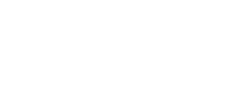 Aidi Consulting 